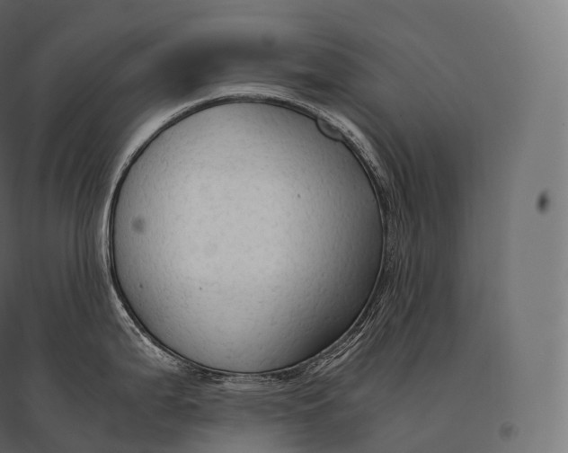 X0000094371199200711241953