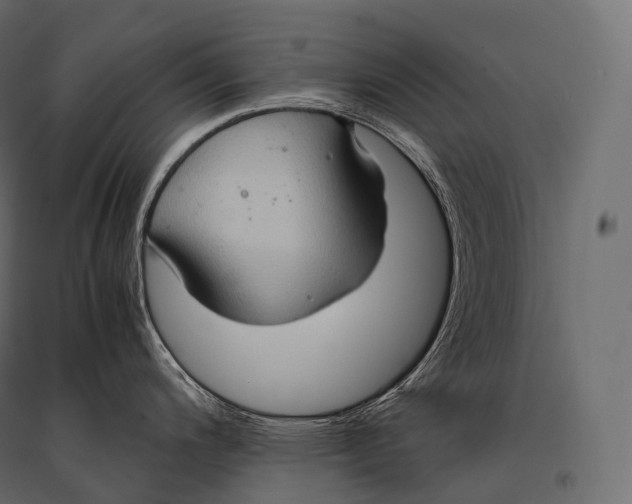 X0000094371200200711241953