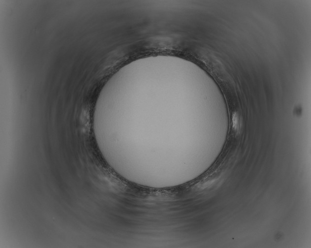 X0000094371203200711241952