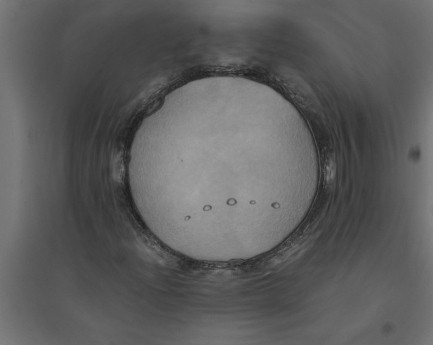 X0000094371204200711241952