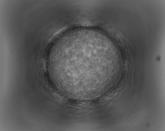 X0000094371205200711241952