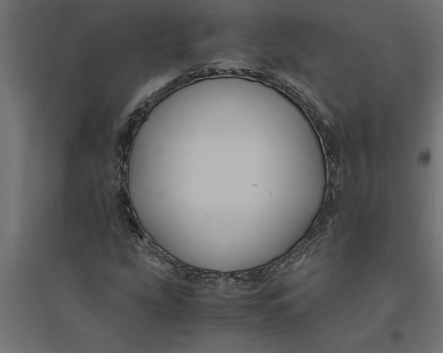 X0000094371207200711241952