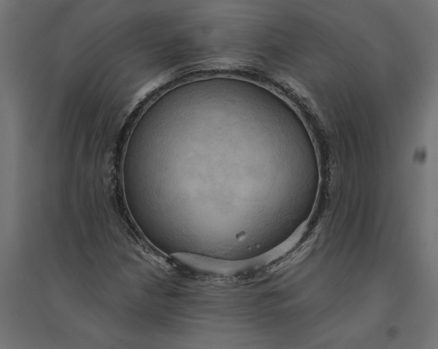 X0000094371210200711241952