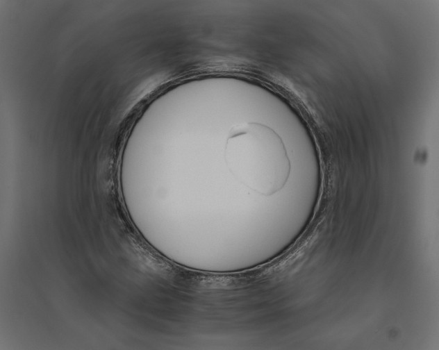 X0000094371211200711241952