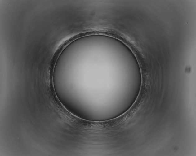 X0000094371214200711241952