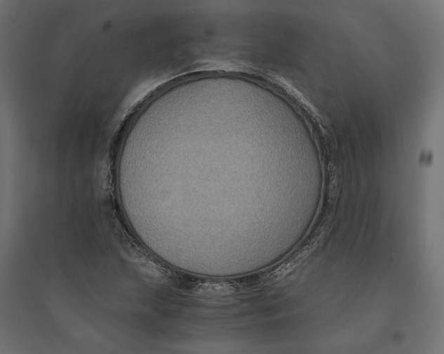 X0000094371215200711241952