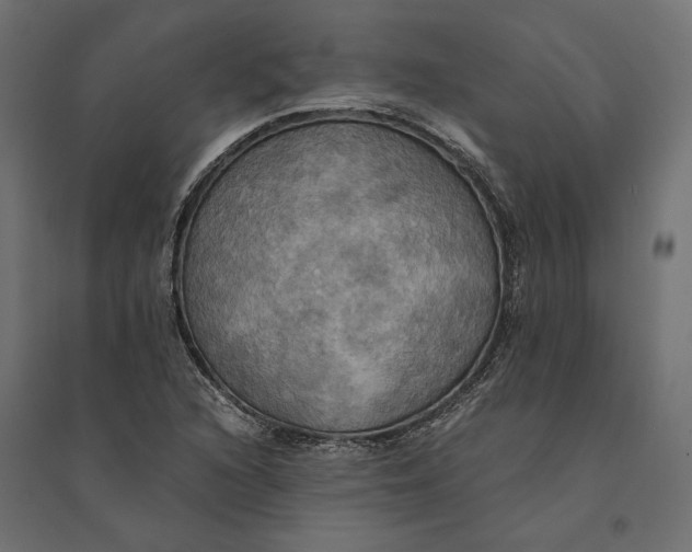 X0000094371216200711241952