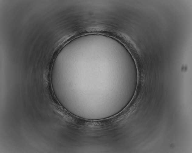 X0000094371217200711241952