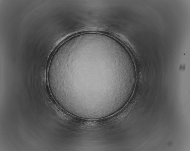 X0000094371220200711241952