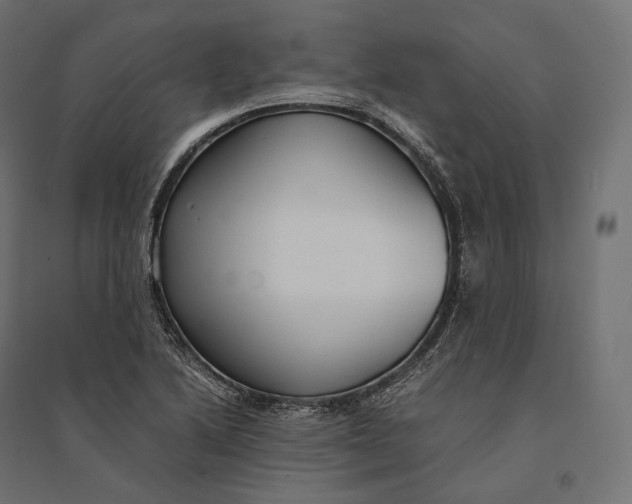 X0000094371222200711241952