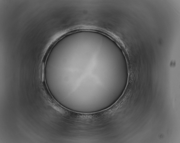 X0000094371223200711241952