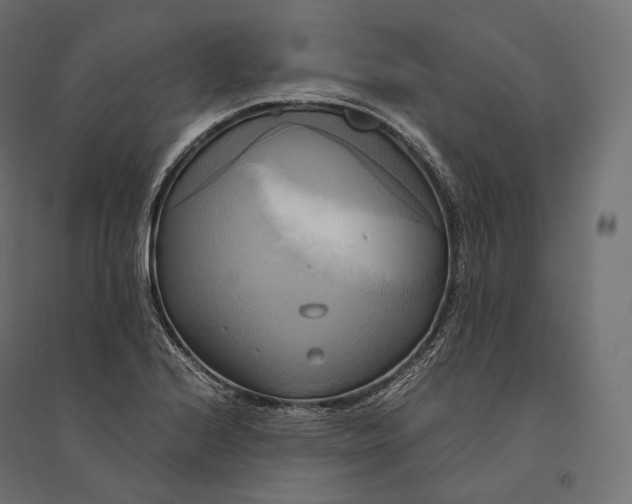 X0000094371224200711241952