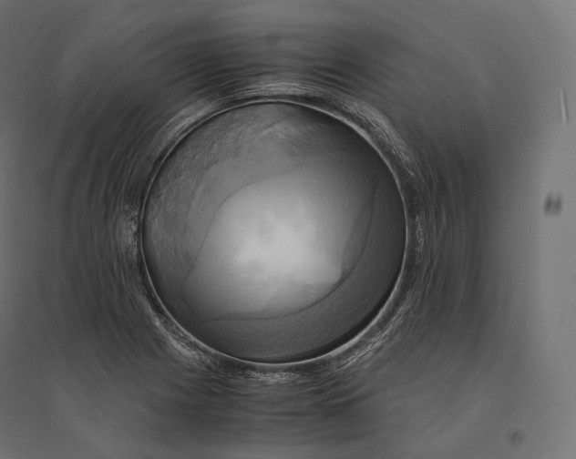 X0000094371225200711241952