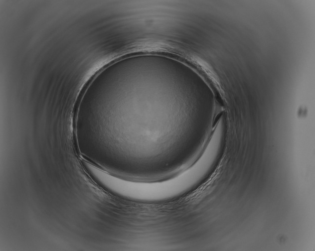 X0000094371226200711241952