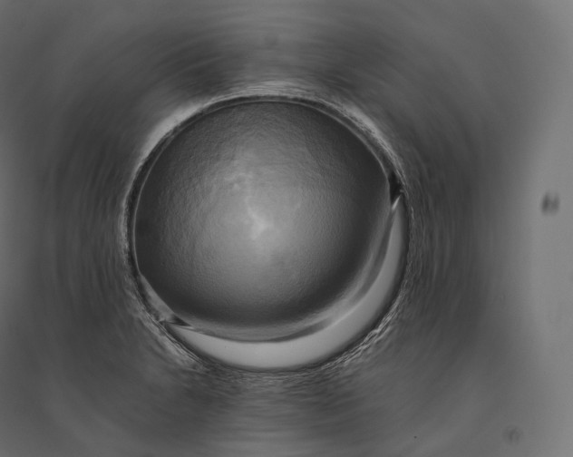 X0000094371230200711241952