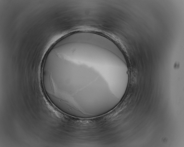 X0000094371231200711241953