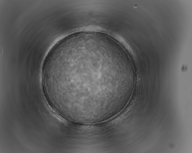 X0000094371232200711241953