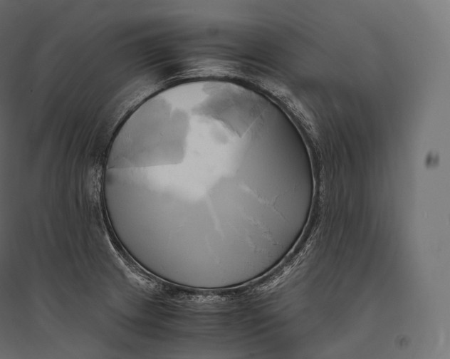 X0000094371233200711241953