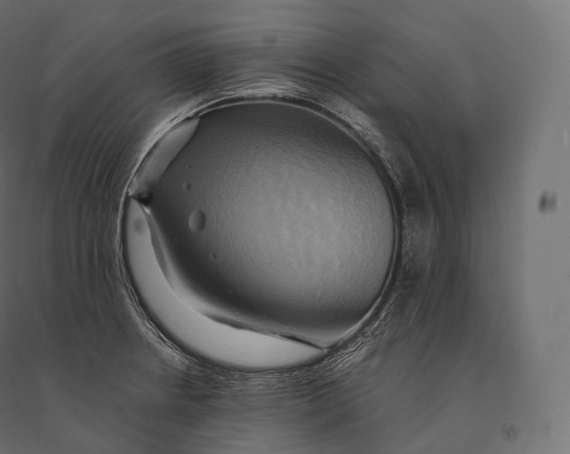 X0000094371234200711241953