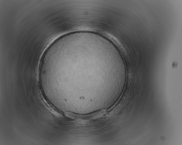 X0000094371236200711241953