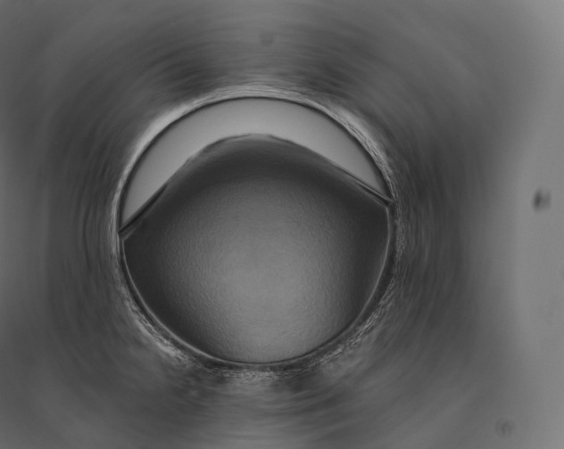 X0000094371238200711241953