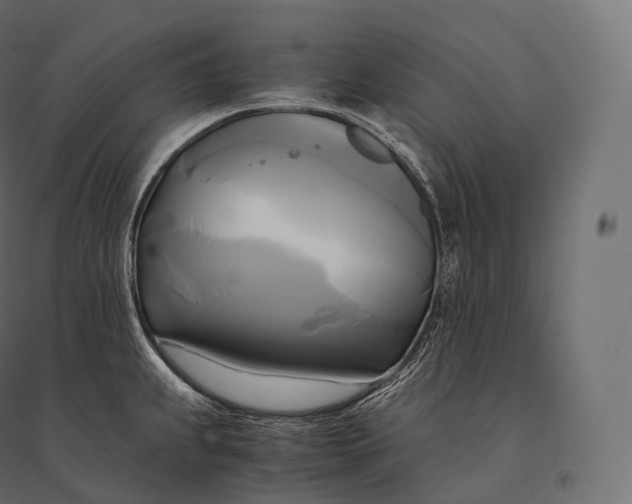 X0000094371239200711241953