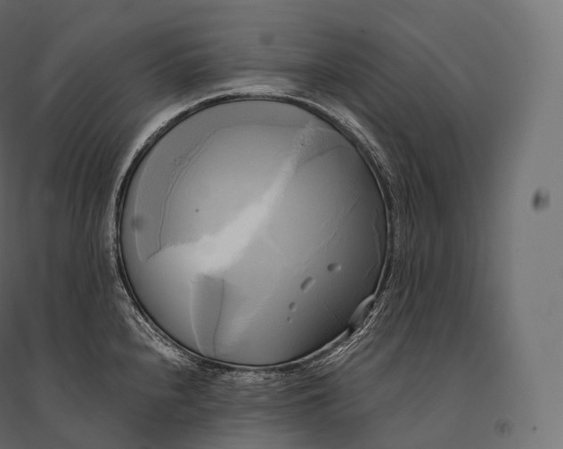 X0000094371240200711241953