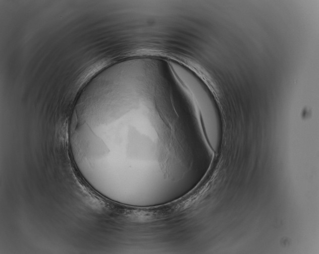 X0000094371241200711241953