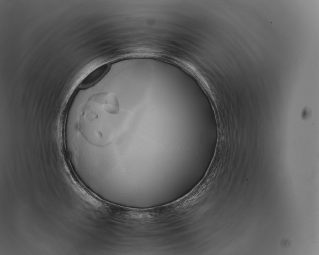 X0000094371243200711241953