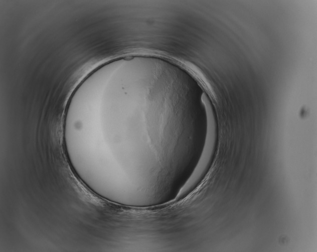 X0000094371244200711241953