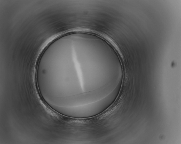 X0000094371245200711241953