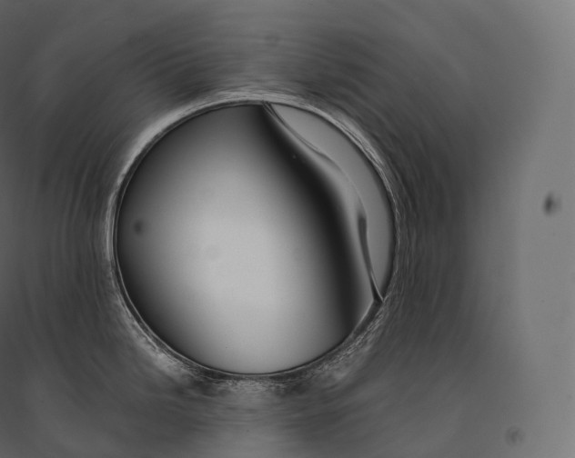 X0000094371246200711241953