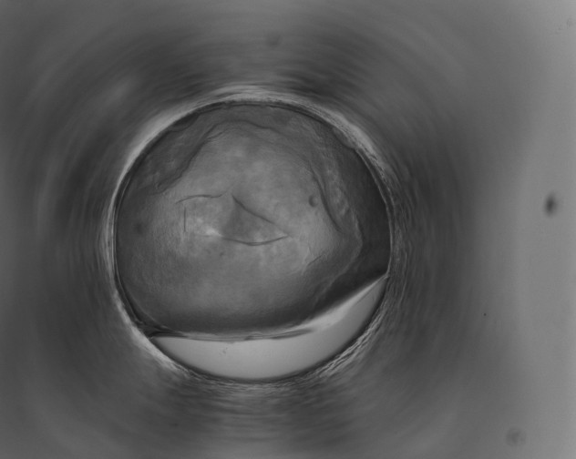 X0000094371247200711241953