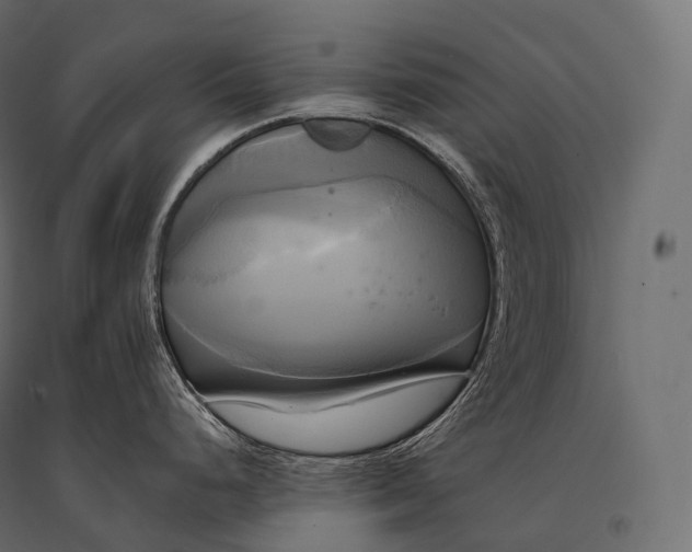 X0000094371248200711241953