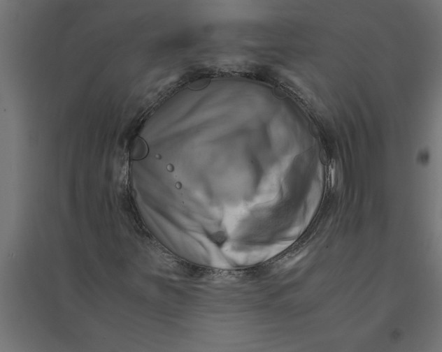 X0000094371251200711241952