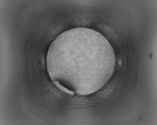 X0000094371252200711241952