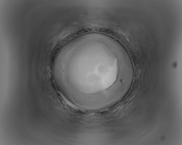 X0000094371253200711241952