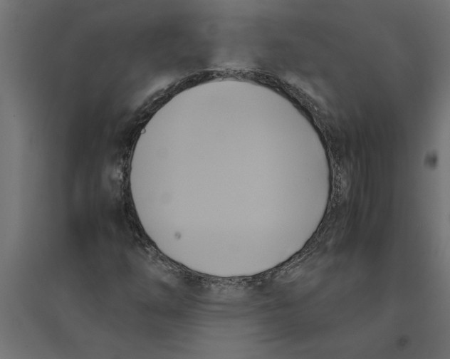 X0000094371254200711241952