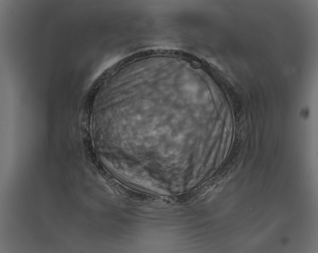 X0000094371255200711241952