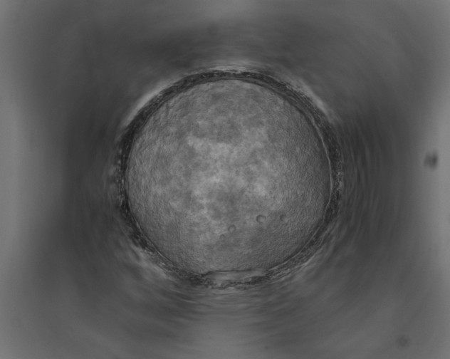 X0000094371256200711241952