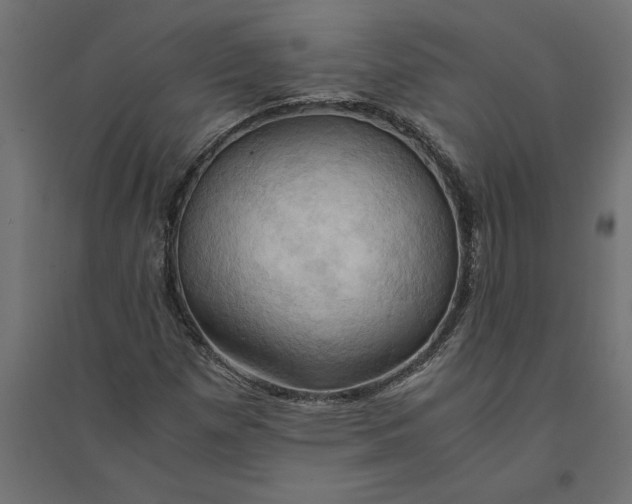 X0000094371257200711241952