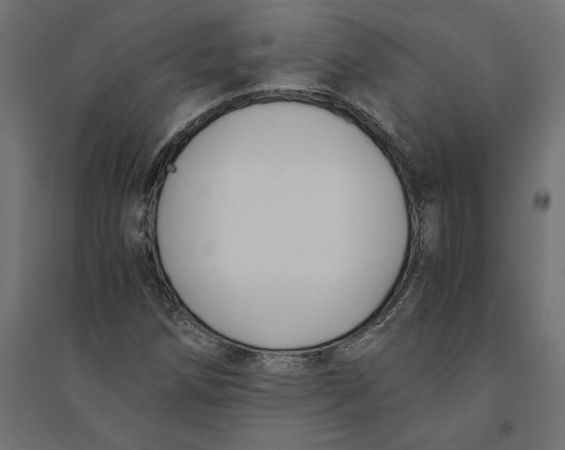 X0000094371258200711241952