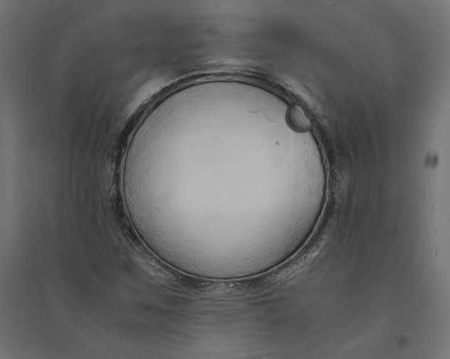 X0000094371259200711241952