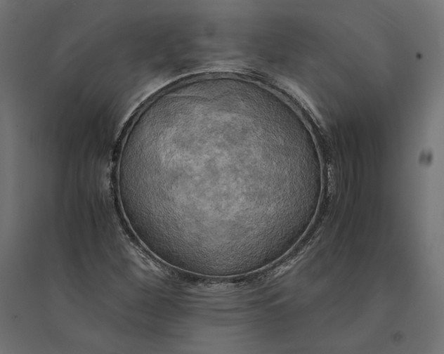 X0000094371260200711241952