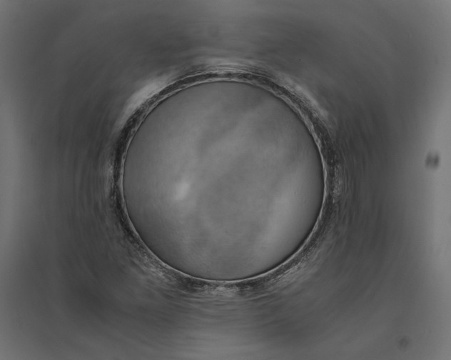 X0000094371261200711241952