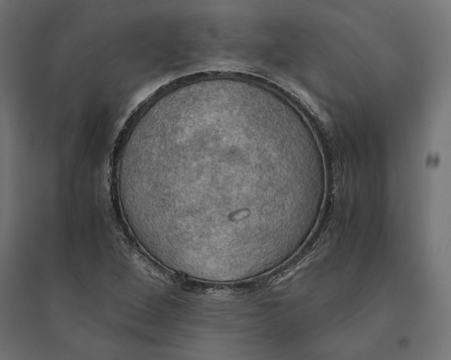 X0000094371264200711241952