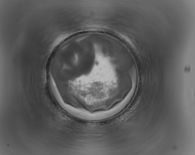 X0000094371267200711241952