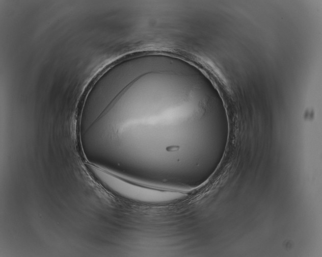 X0000094371268200711241952