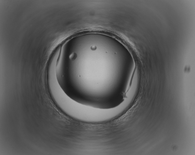 X0000094371269200711241952