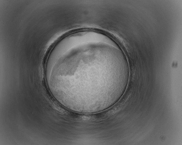 X0000094371271200711241952